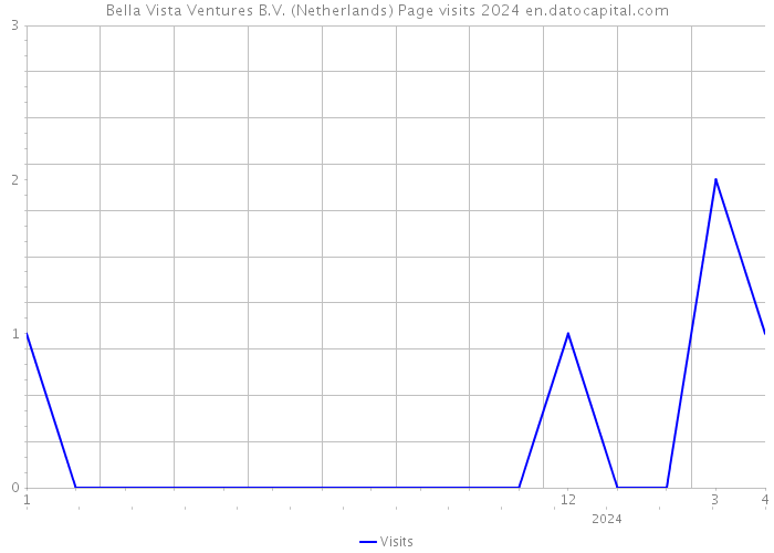 Bella Vista Ventures B.V. (Netherlands) Page visits 2024 