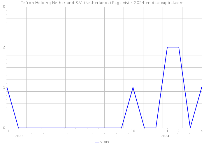 Tefron Holding Netherland B.V. (Netherlands) Page visits 2024 