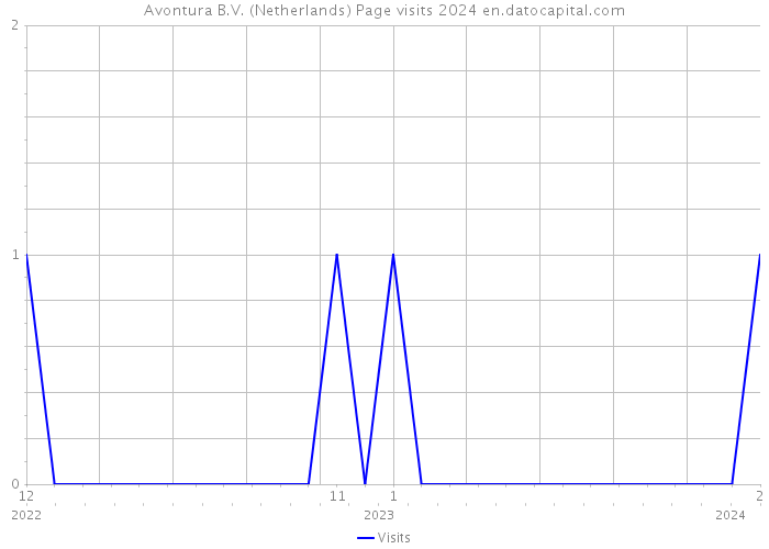 Avontura B.V. (Netherlands) Page visits 2024 