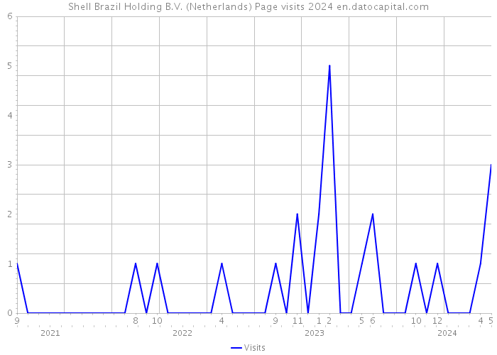Shell Brazil Holding B.V. (Netherlands) Page visits 2024 