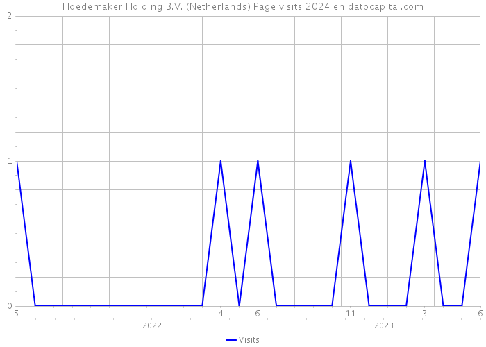 Hoedemaker Holding B.V. (Netherlands) Page visits 2024 