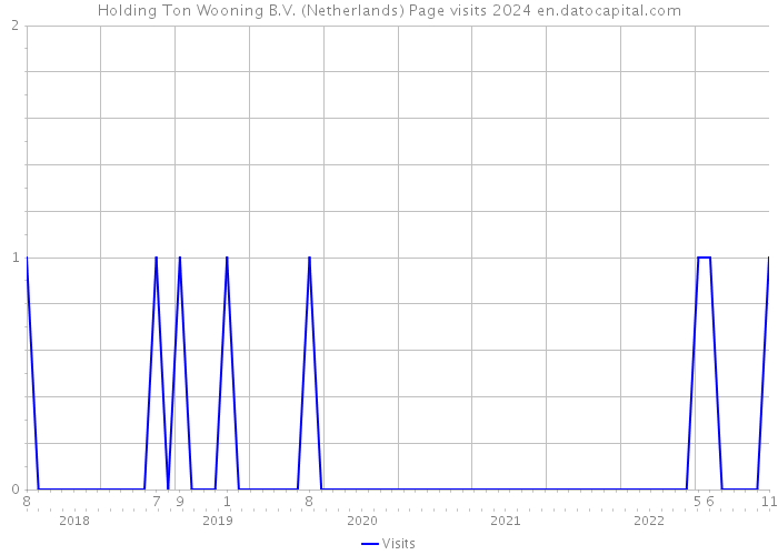 Holding Ton Wooning B.V. (Netherlands) Page visits 2024 