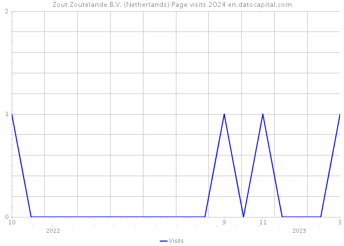 Zout Zoutelande B.V. (Netherlands) Page visits 2024 