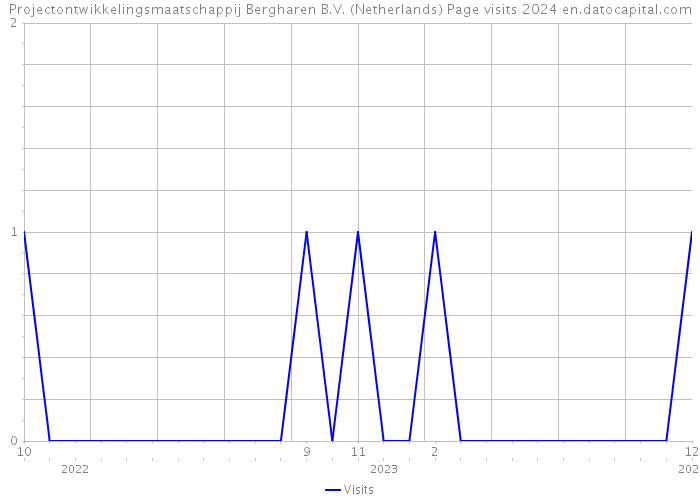 Projectontwikkelingsmaatschappij Bergharen B.V. (Netherlands) Page visits 2024 