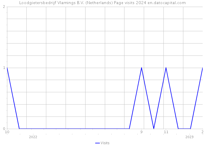 Loodgietersbedrijf Vlamings B.V. (Netherlands) Page visits 2024 