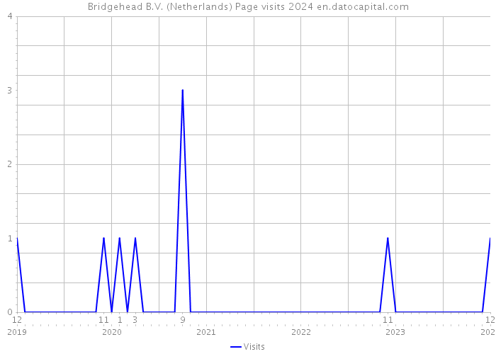 Bridgehead B.V. (Netherlands) Page visits 2024 