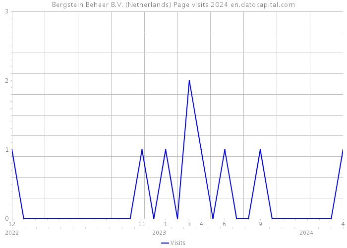 Bergstein Beheer B.V. (Netherlands) Page visits 2024 