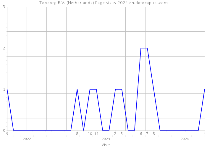 Topzorg B.V. (Netherlands) Page visits 2024 