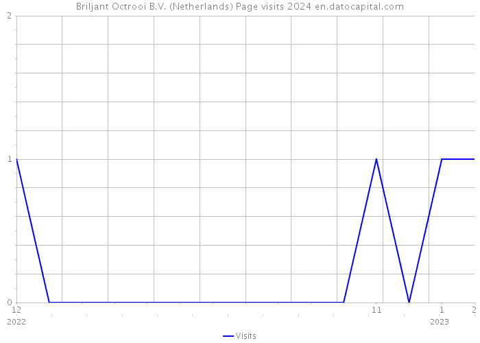 Briljant Octrooi B.V. (Netherlands) Page visits 2024 