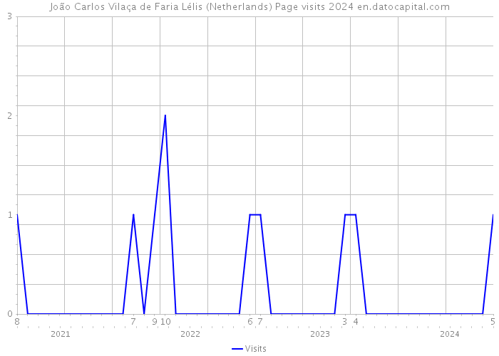 João Carlos Vilaça de Faria Lélis (Netherlands) Page visits 2024 