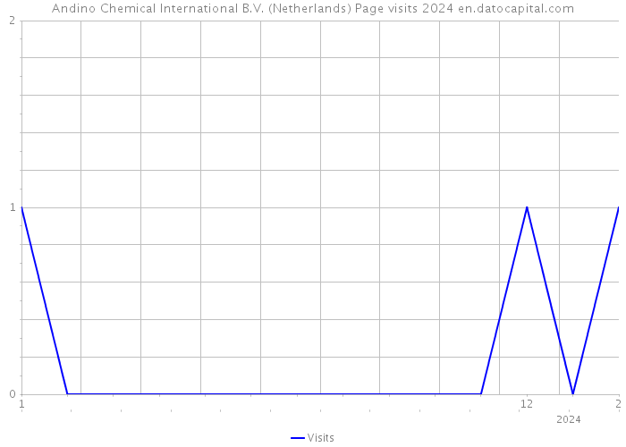 Andino Chemical International B.V. (Netherlands) Page visits 2024 