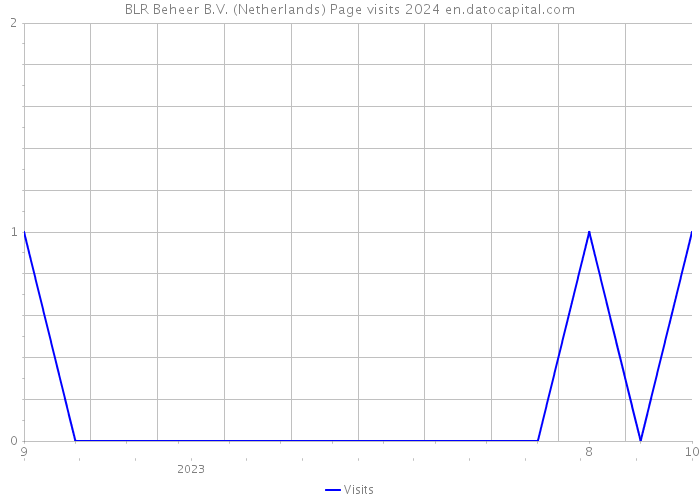 BLR Beheer B.V. (Netherlands) Page visits 2024 