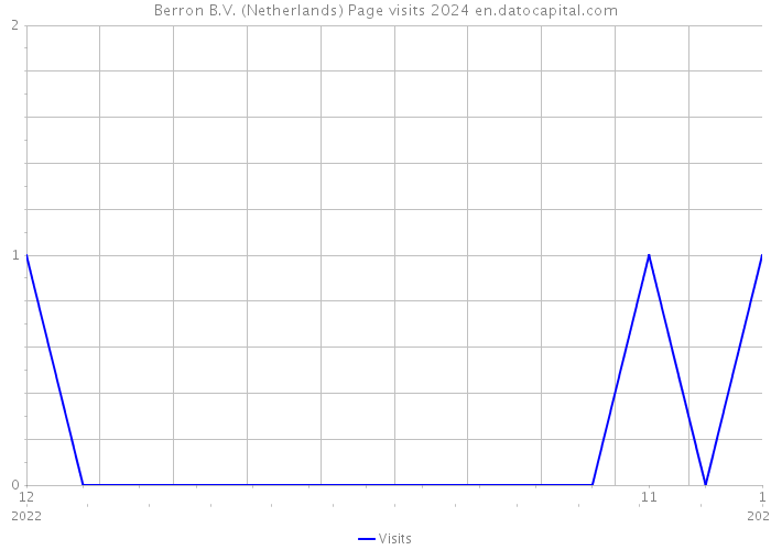 Berron B.V. (Netherlands) Page visits 2024 