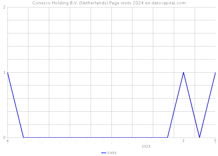 Conesco Holding B.V. (Netherlands) Page visits 2024 