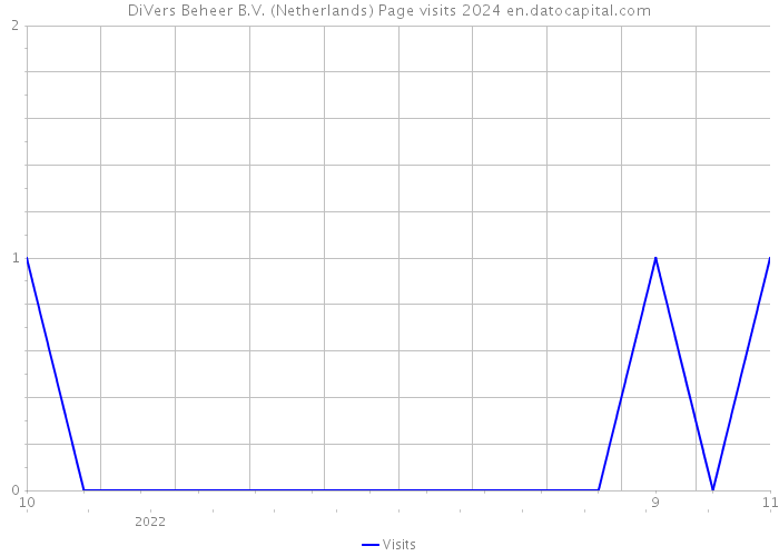 DiVers Beheer B.V. (Netherlands) Page visits 2024 