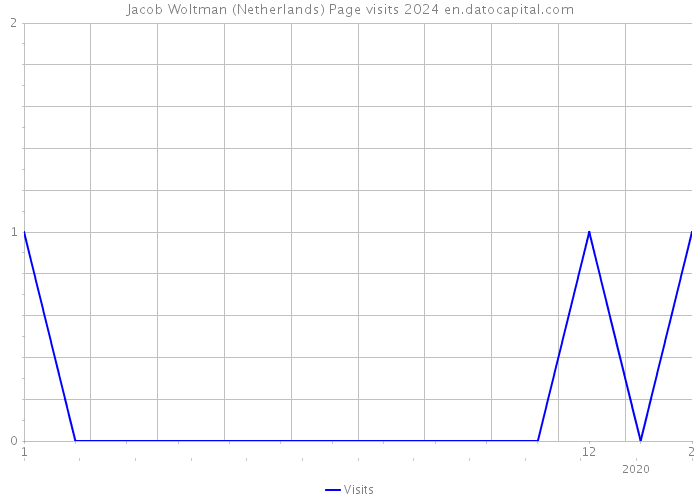 Jacob Woltman (Netherlands) Page visits 2024 