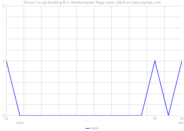 Timon Voogt Holding B.V. (Netherlands) Page visits 2024 