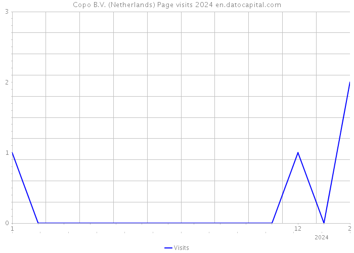 Copo B.V. (Netherlands) Page visits 2024 