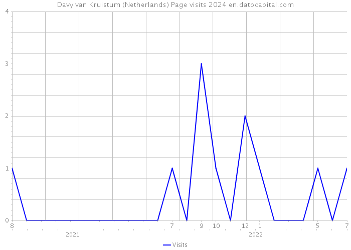 Davy van Kruistum (Netherlands) Page visits 2024 