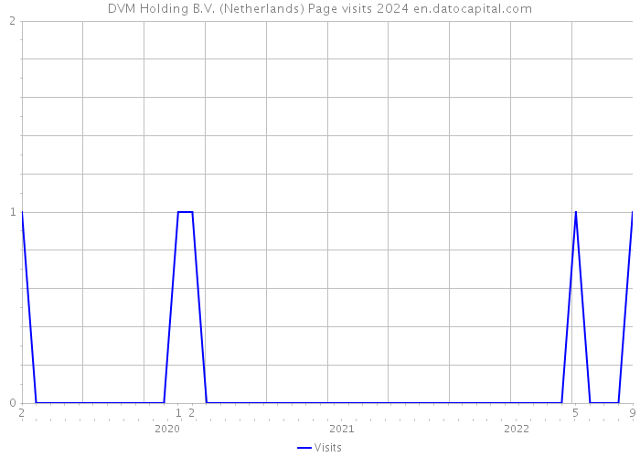 DVM Holding B.V. (Netherlands) Page visits 2024 