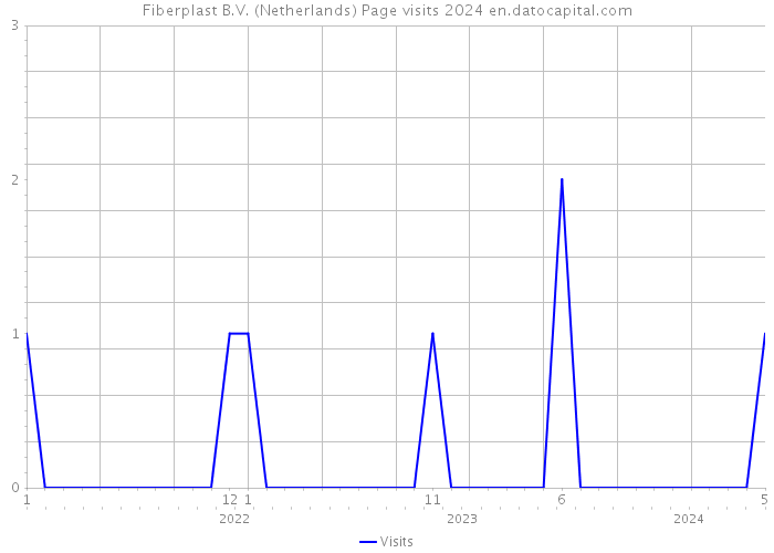 Fiberplast B.V. (Netherlands) Page visits 2024 