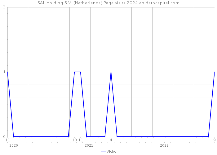 SAL Holding B.V. (Netherlands) Page visits 2024 
