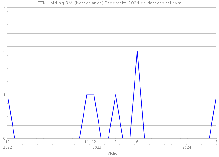 TEK Holding B.V. (Netherlands) Page visits 2024 