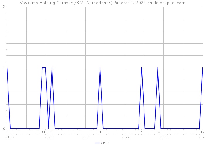Voskamp Holding Company B.V. (Netherlands) Page visits 2024 