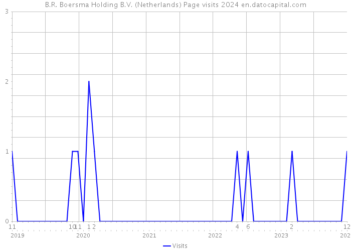 B.R. Boersma Holding B.V. (Netherlands) Page visits 2024 