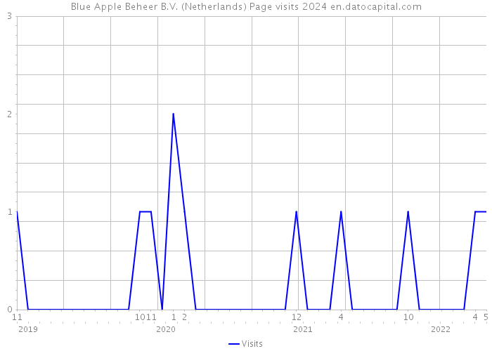 Blue Apple Beheer B.V. (Netherlands) Page visits 2024 