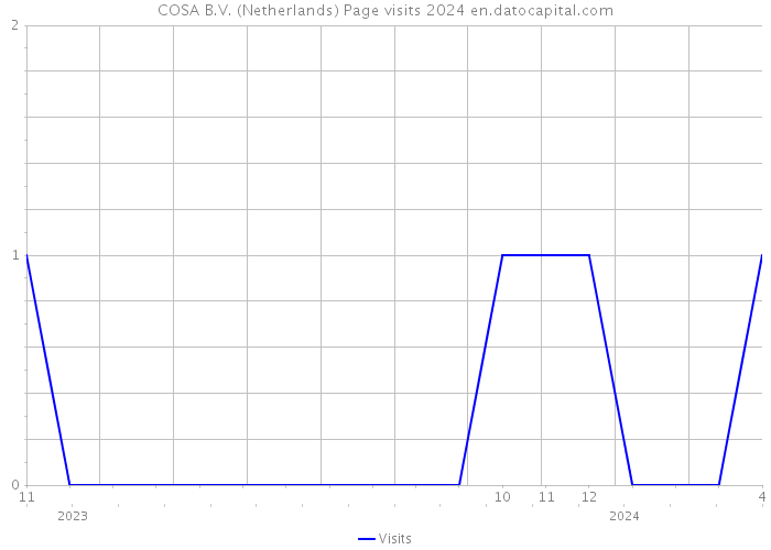 COSA B.V. (Netherlands) Page visits 2024 