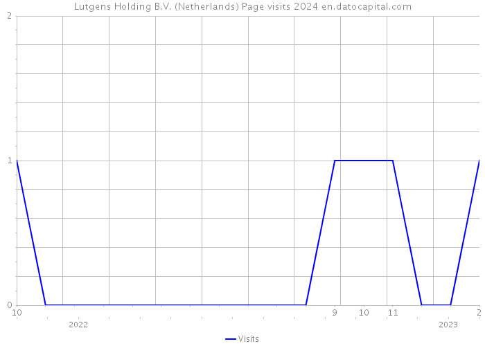 Lutgens Holding B.V. (Netherlands) Page visits 2024 