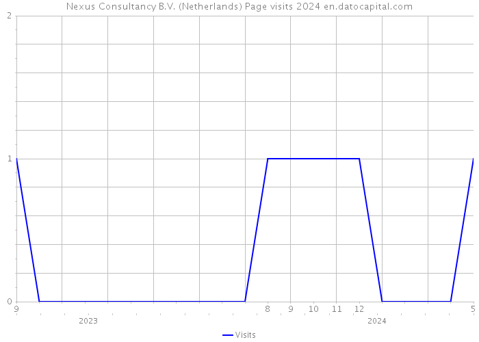 Nexus Consultancy B.V. (Netherlands) Page visits 2024 