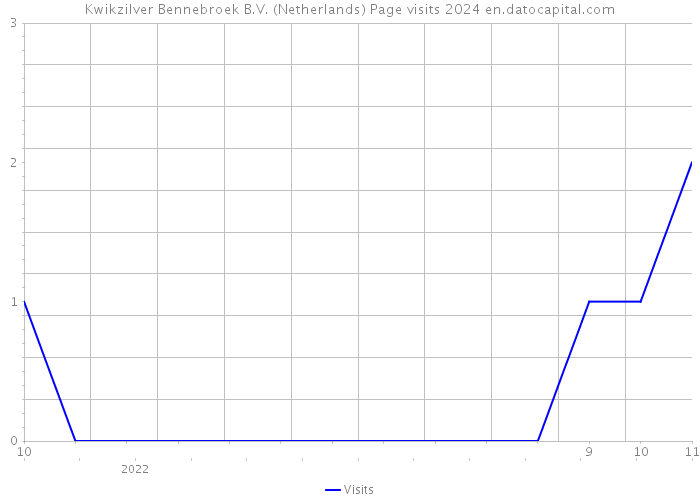 Kwikzilver Bennebroek B.V. (Netherlands) Page visits 2024 