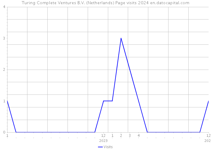 Turing Complete Ventures B.V. (Netherlands) Page visits 2024 