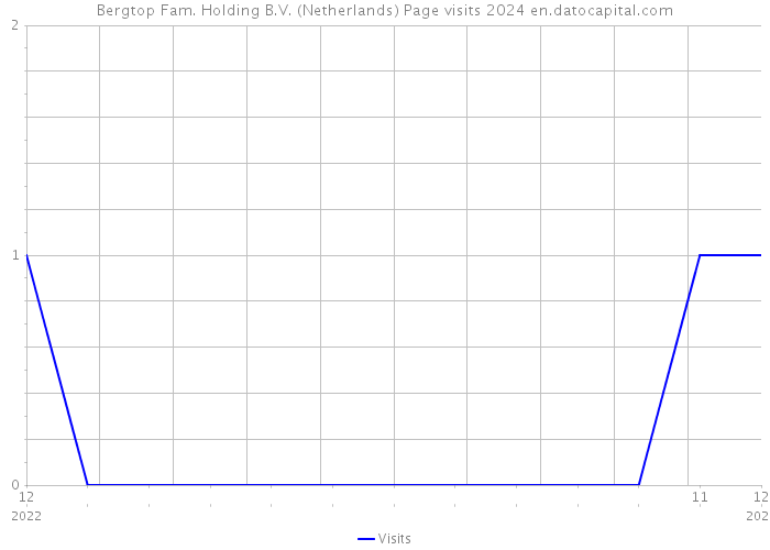 Bergtop Fam. Holding B.V. (Netherlands) Page visits 2024 