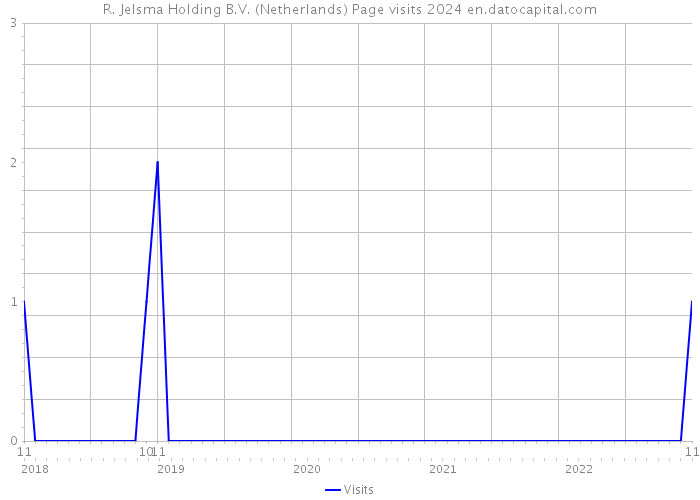 R. Jelsma Holding B.V. (Netherlands) Page visits 2024 
