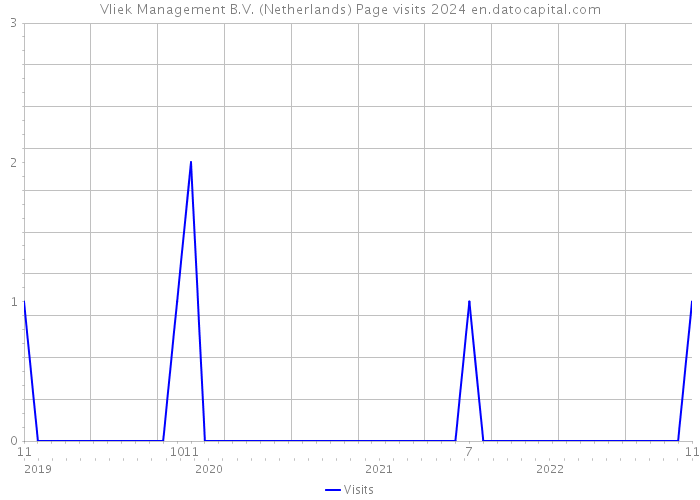 Vliek Management B.V. (Netherlands) Page visits 2024 