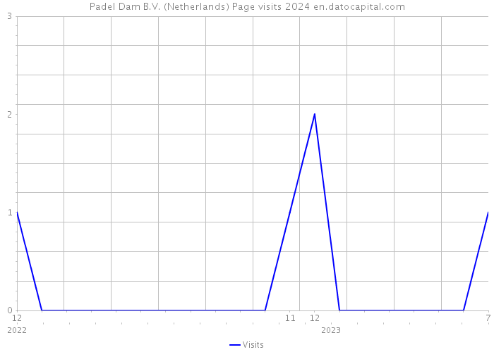 Padel Dam B.V. (Netherlands) Page visits 2024 