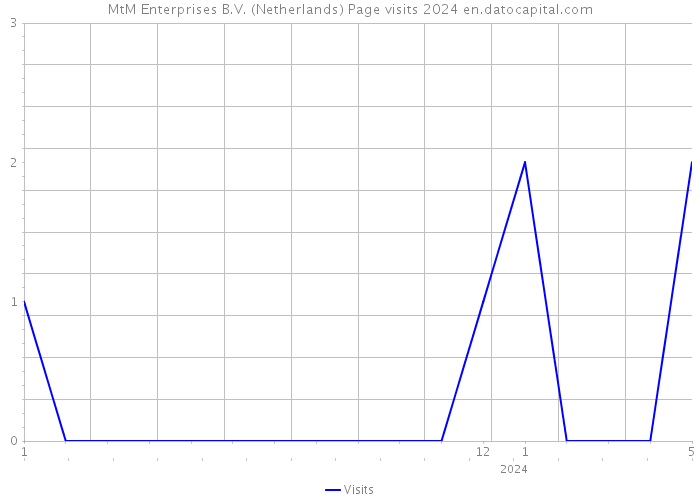 MtM Enterprises B.V. (Netherlands) Page visits 2024 