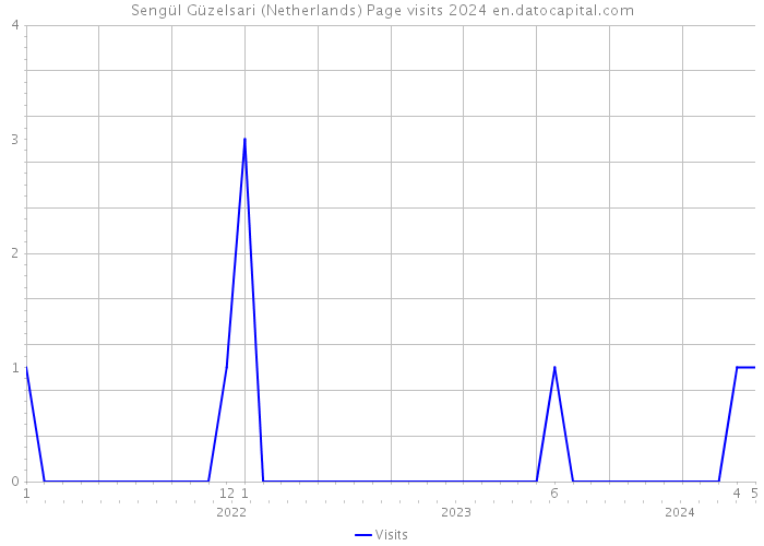 Sengül Güzelsari (Netherlands) Page visits 2024 