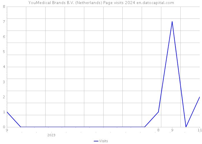 YouMedical Brands B.V. (Netherlands) Page visits 2024 
