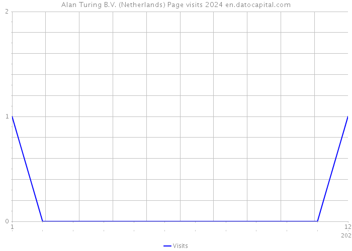 Alan Turing B.V. (Netherlands) Page visits 2024 