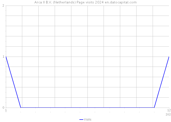 Arca II B.V. (Netherlands) Page visits 2024 