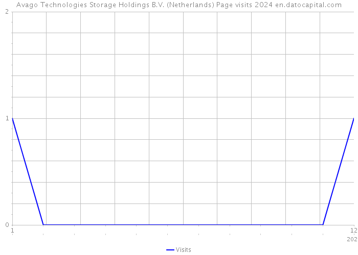 Avago Technologies Storage Holdings B.V. (Netherlands) Page visits 2024 