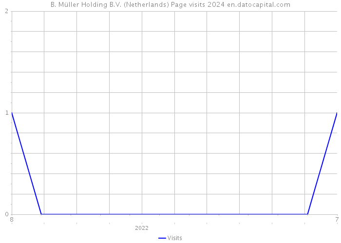 B. Müller Holding B.V. (Netherlands) Page visits 2024 