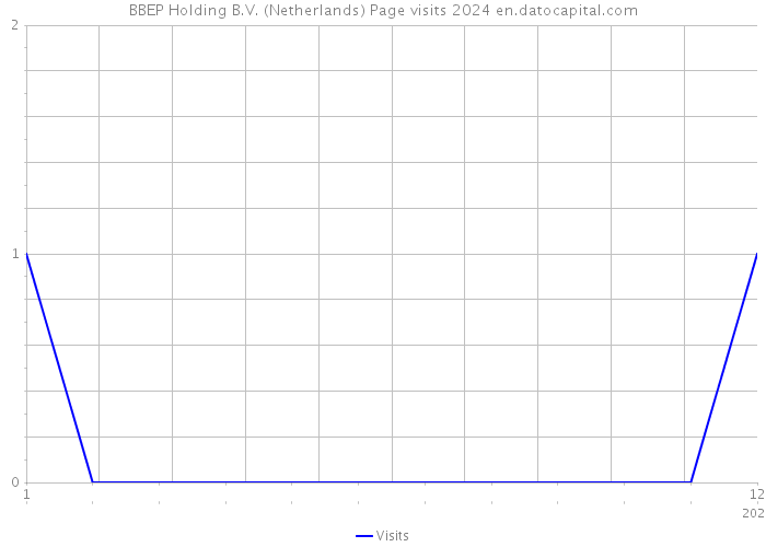 BBEP Holding B.V. (Netherlands) Page visits 2024 