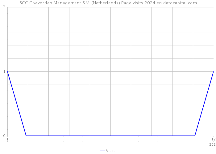 BCC Coevorden Management B.V. (Netherlands) Page visits 2024 