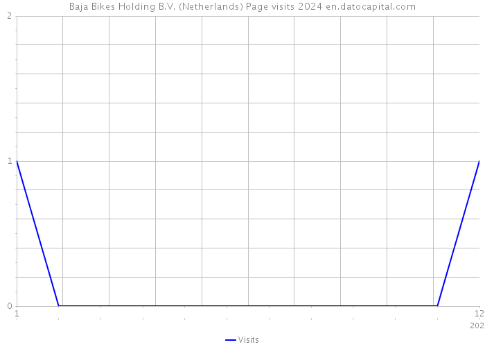 Baja Bikes Holding B.V. (Netherlands) Page visits 2024 
