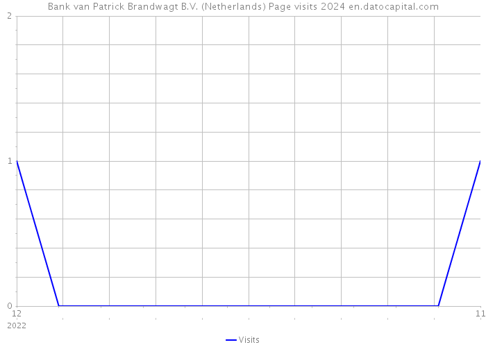 Bank van Patrick Brandwagt B.V. (Netherlands) Page visits 2024 